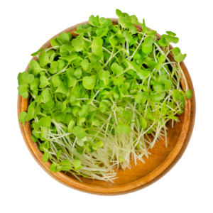 Green Microgreens Mix